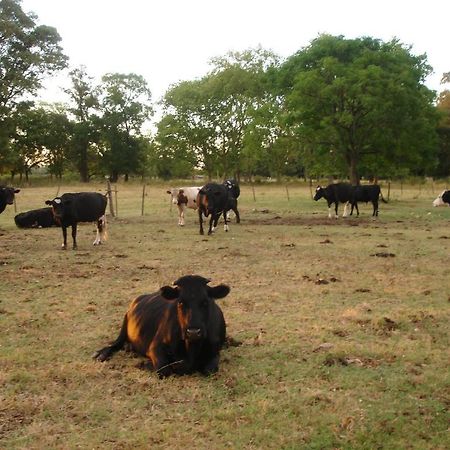 Hotel De Campo La Morena Ezeiza Dış mekan fotoğraf