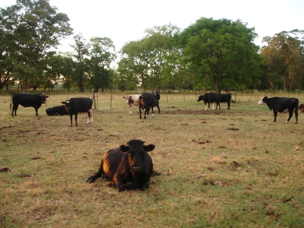 Hotel De Campo La Morena Ezeiza Dış mekan fotoğraf